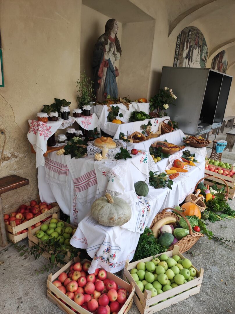 571259859_122104229295069639_7243110203817354028_n