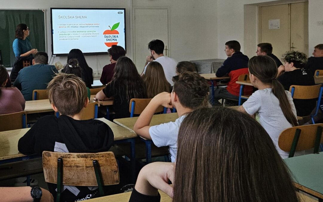 Školska shema za predmetnu nastavu